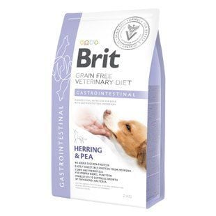 Cухой корм для собак Brit GF Veterinary Diet Gastrointestinal 2 кг - сельдь и горох - masterzoo.ua
