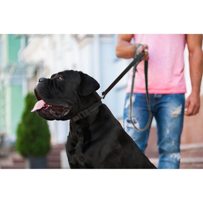 Collar Evolutor повідець для собак 3 м - чорний - masterzoo.ua