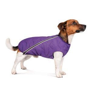 Жилет для собак Pet Fashion E.Vest XS-2 (фіолетовий) - masterzoo.ua