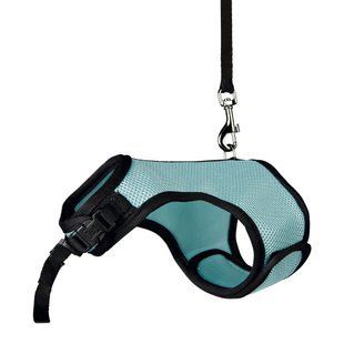 Шлея з повідцем для кролика Trixie Soft нейлонова 25-32 см - кольори в асортименті - masterzoo.ua