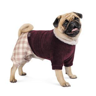 Pet Fashion Spell костюм для собак M - masterzoo.ua