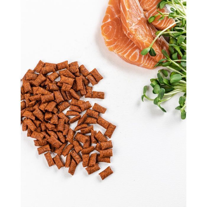 Ласощі для котів Savory 60 г - лосось - masterzoo.ua