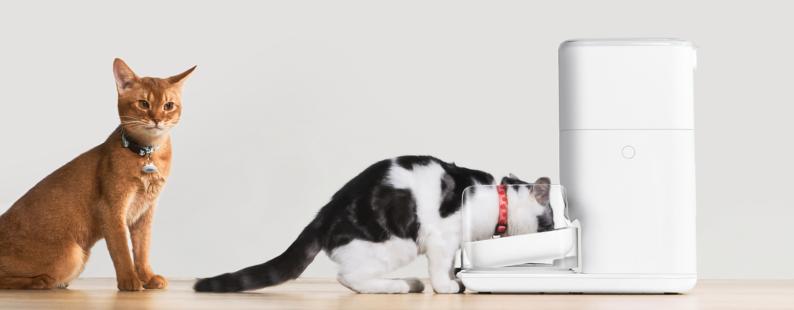 Правильний нахил миски в автоматичній годівниці Catlink Fresh 2