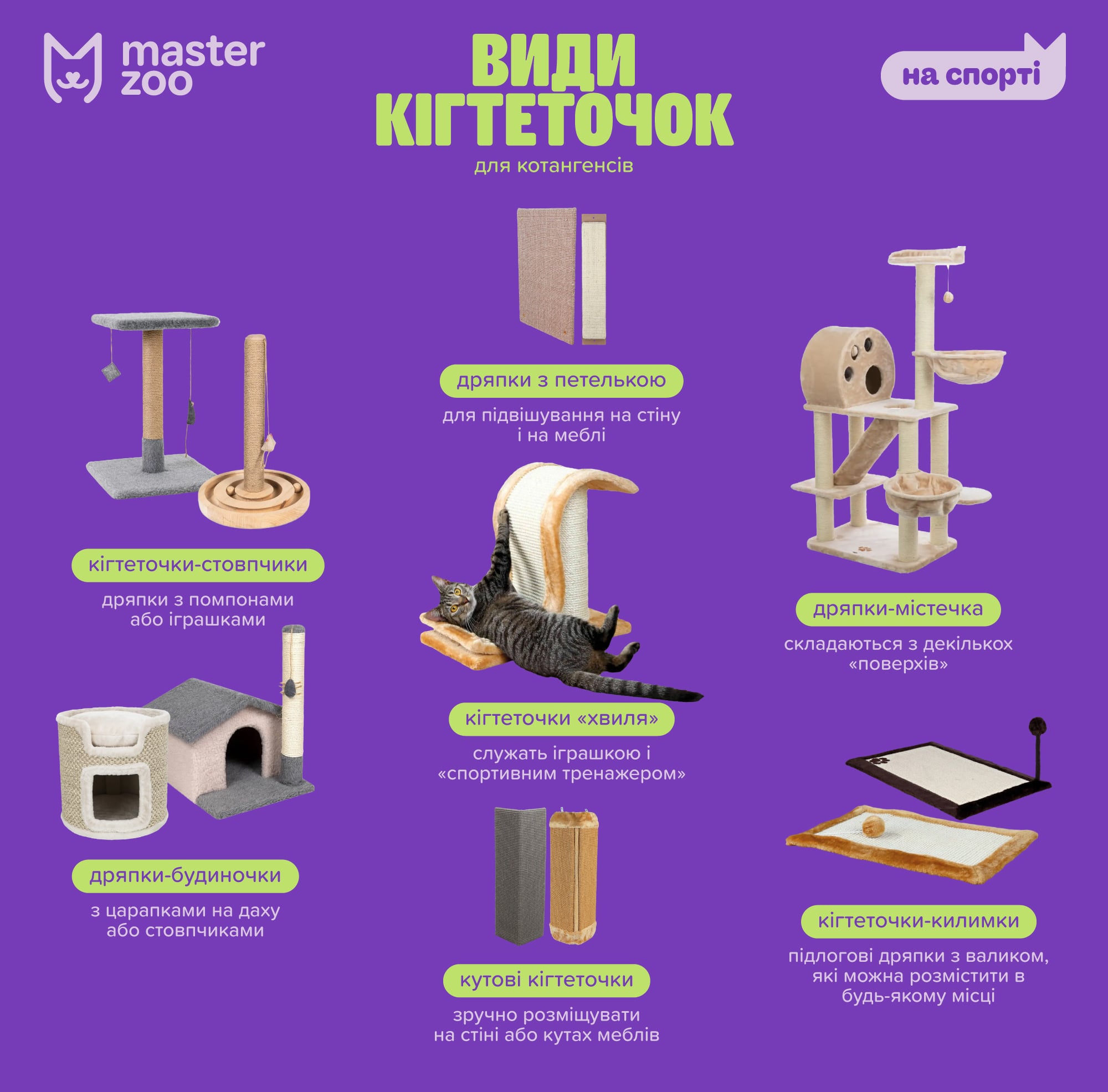 Инфографика дряпка для кошки |  MasterZoo