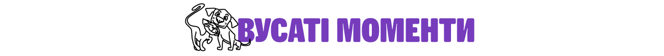 разделитель 3| MasterZoo